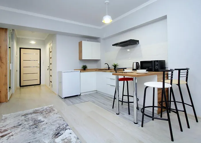 New And Cozy Studio In The Best Area! 3